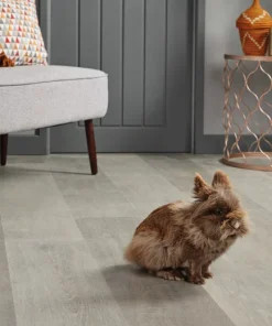 vgwt shadowoak livingroom cameop rabbit cm webp