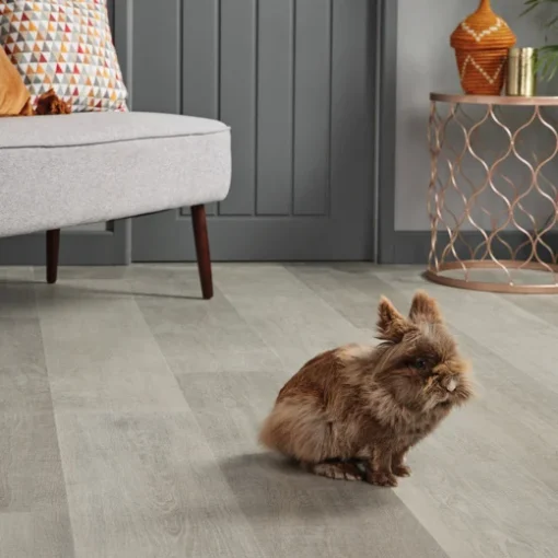 vgwt shadowoak livingroom cameop rabbit cm webp