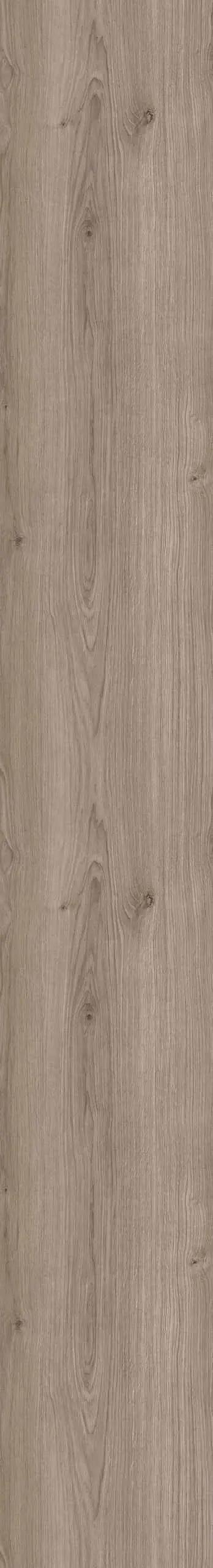 Ember Stone rwzo webp