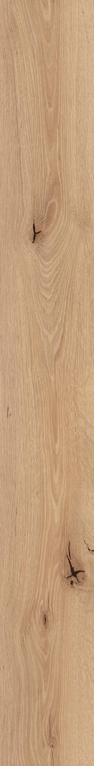 FFS GRAPHITE pgsl scaled webp