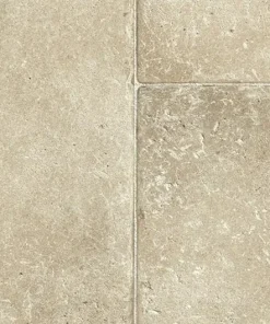 charisma GC ripinski wide webp