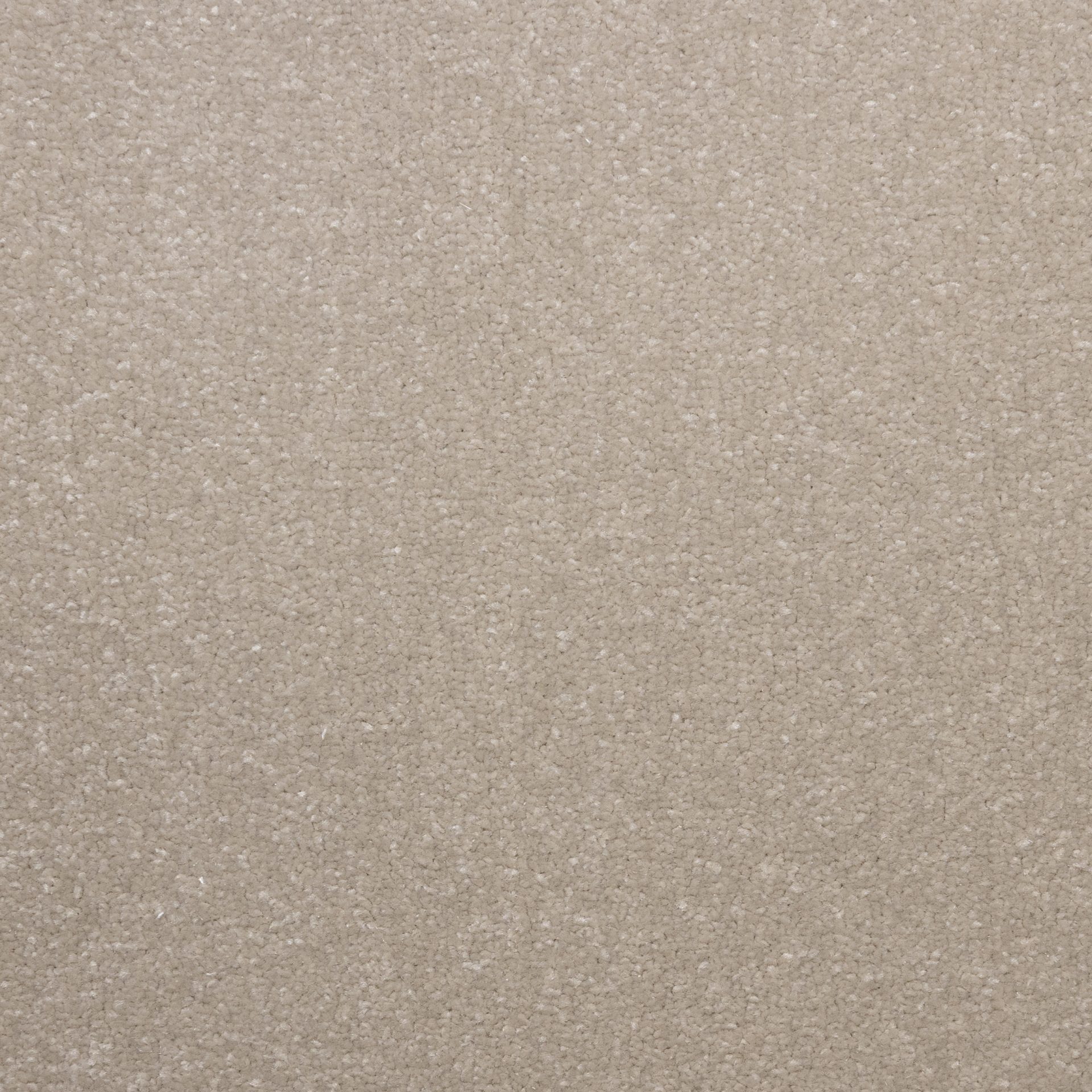 Lazio Sea Shell jpg
