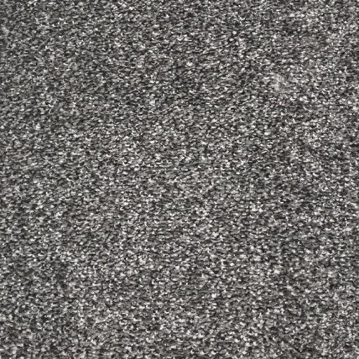 CoolGrey x x jpg