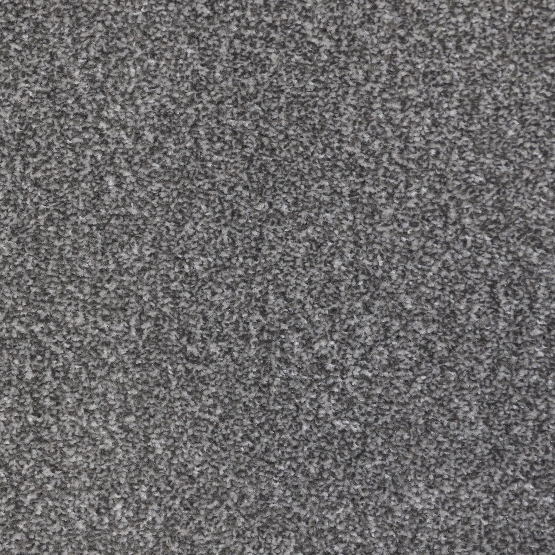 Messina Shadow jpg