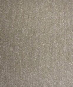 Messina Sea Shell jpg