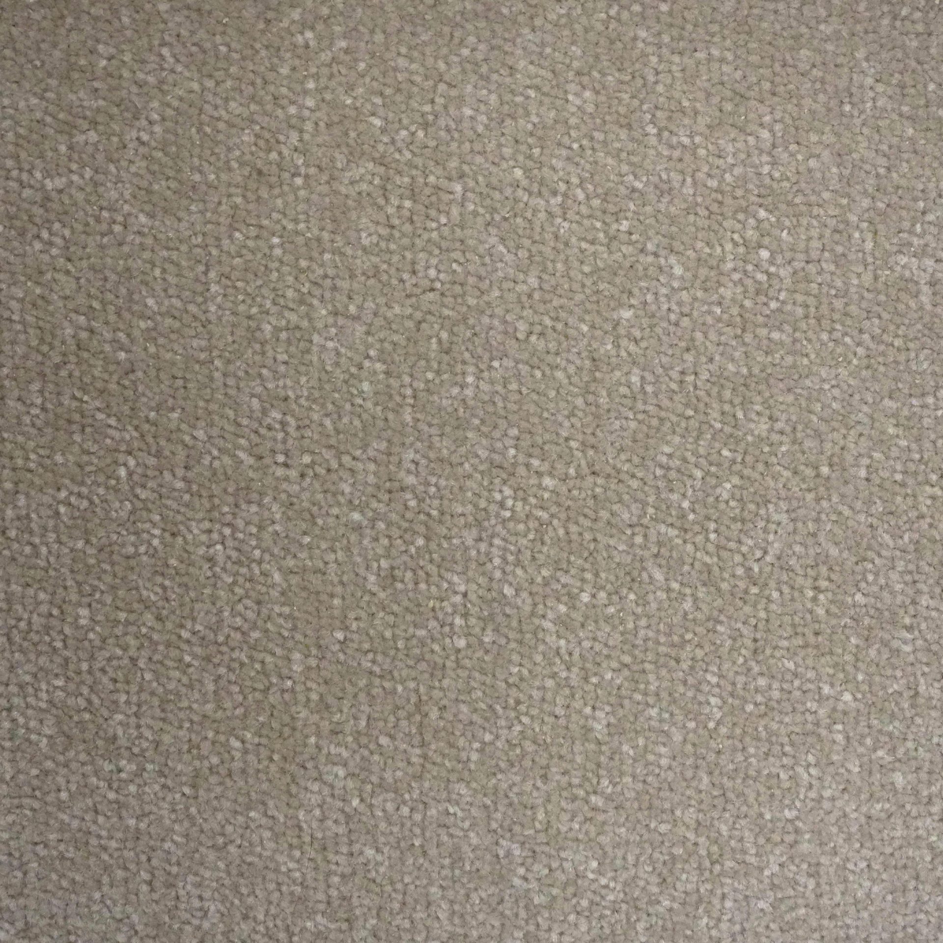 Messina Sea Shell jpg
