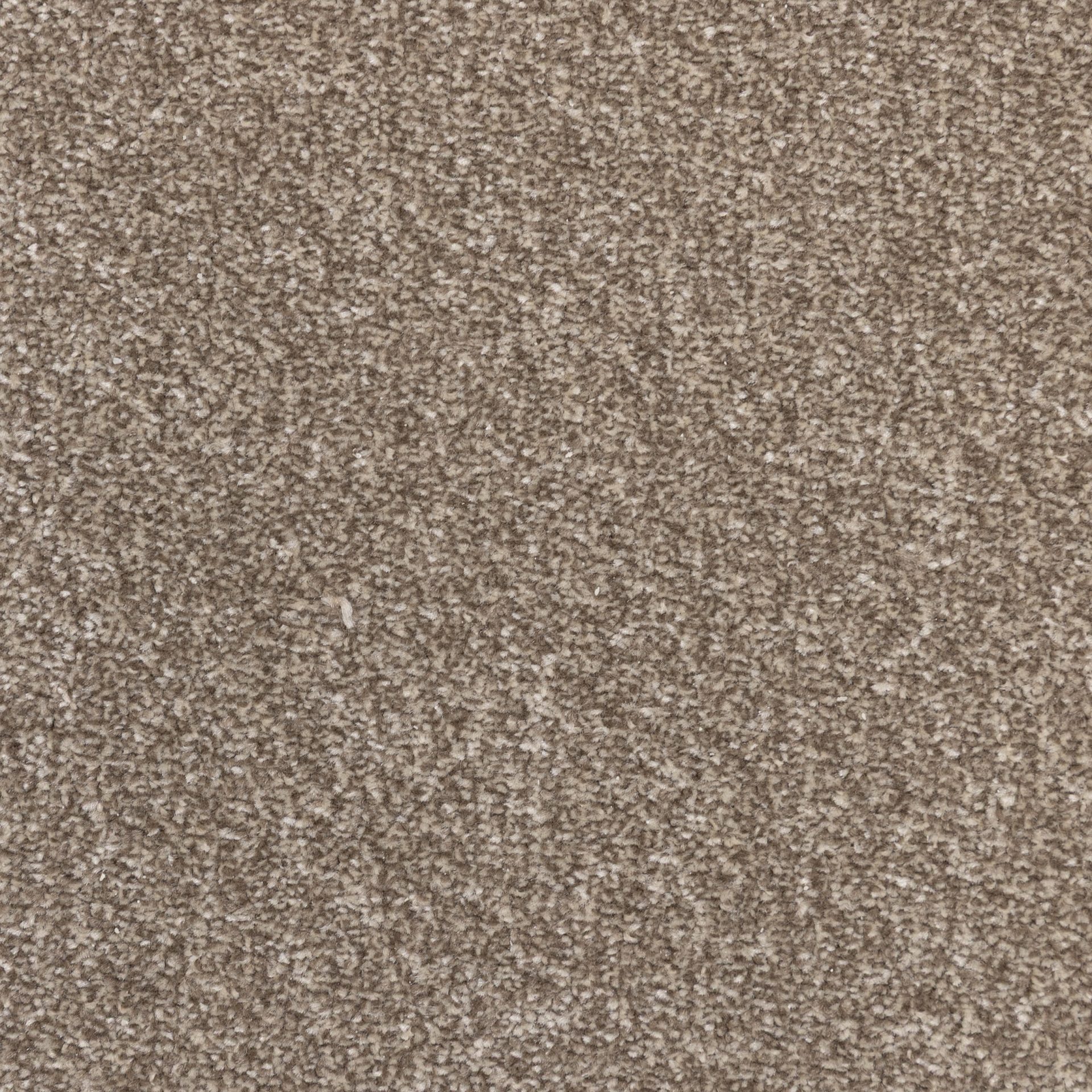 Messina Latte jpg