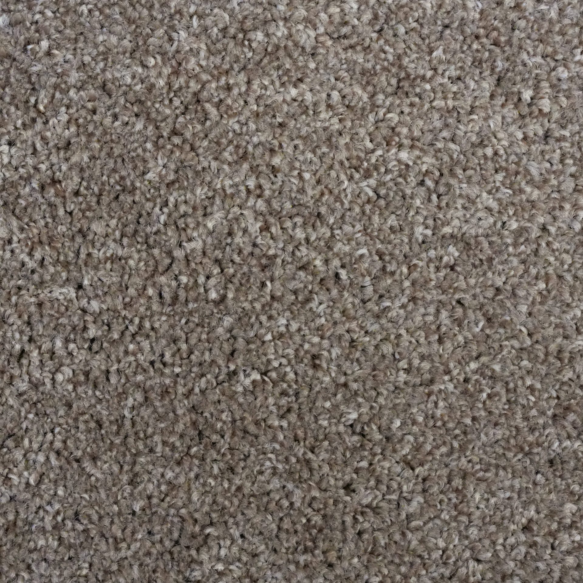 Rustico Cream jpg