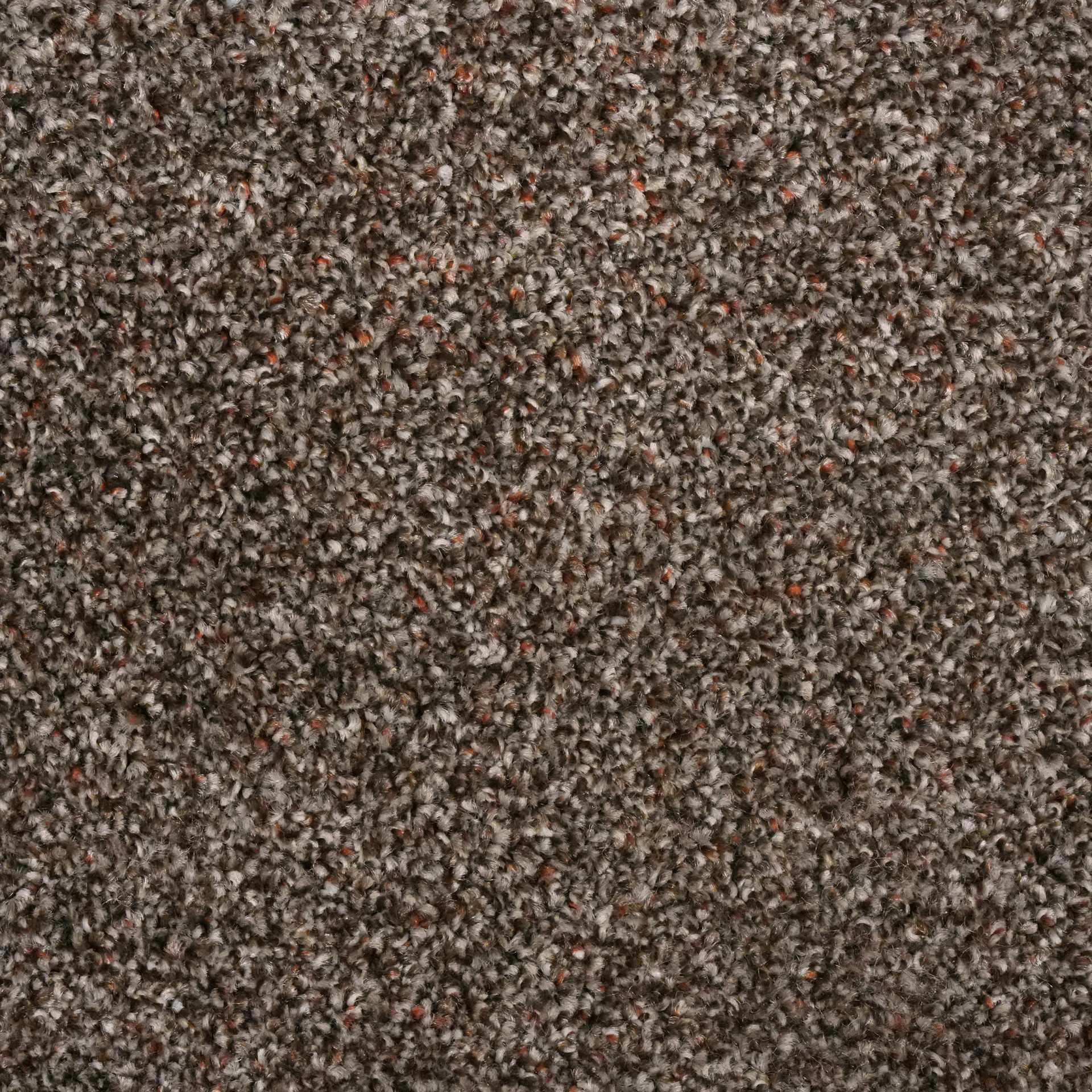 Rustico Russet jpg