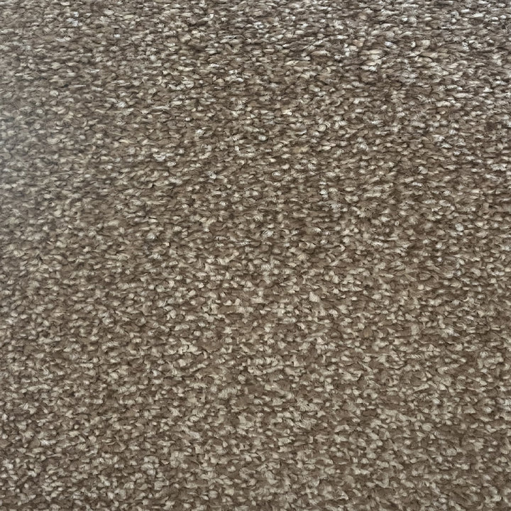 Sepia x jpg