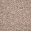 ash brown webp