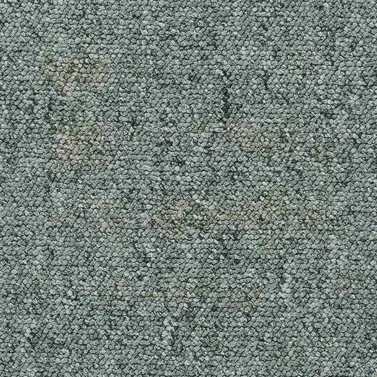 grey whisper webp