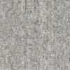 skylight webp