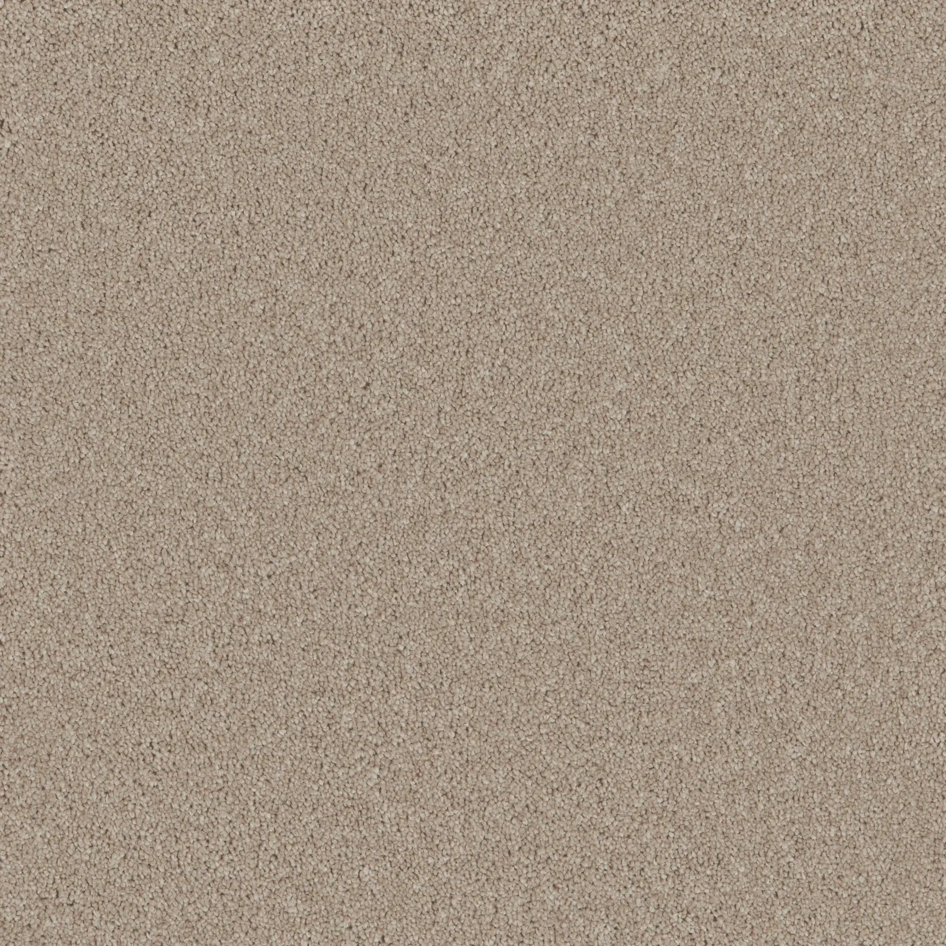 Sienna kxpk webp