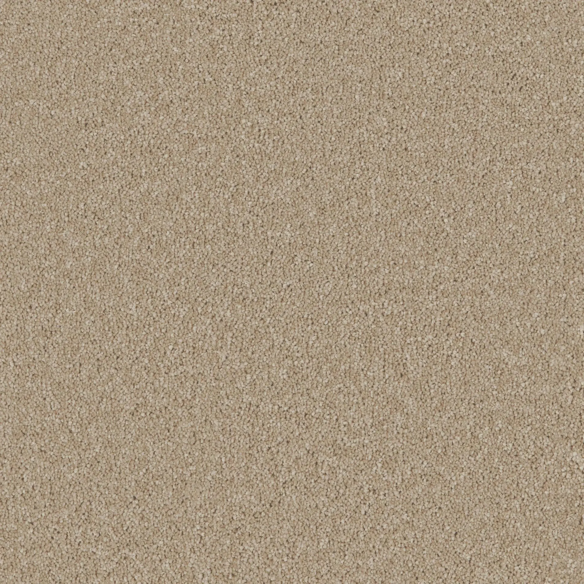 Tuscan chdz webp