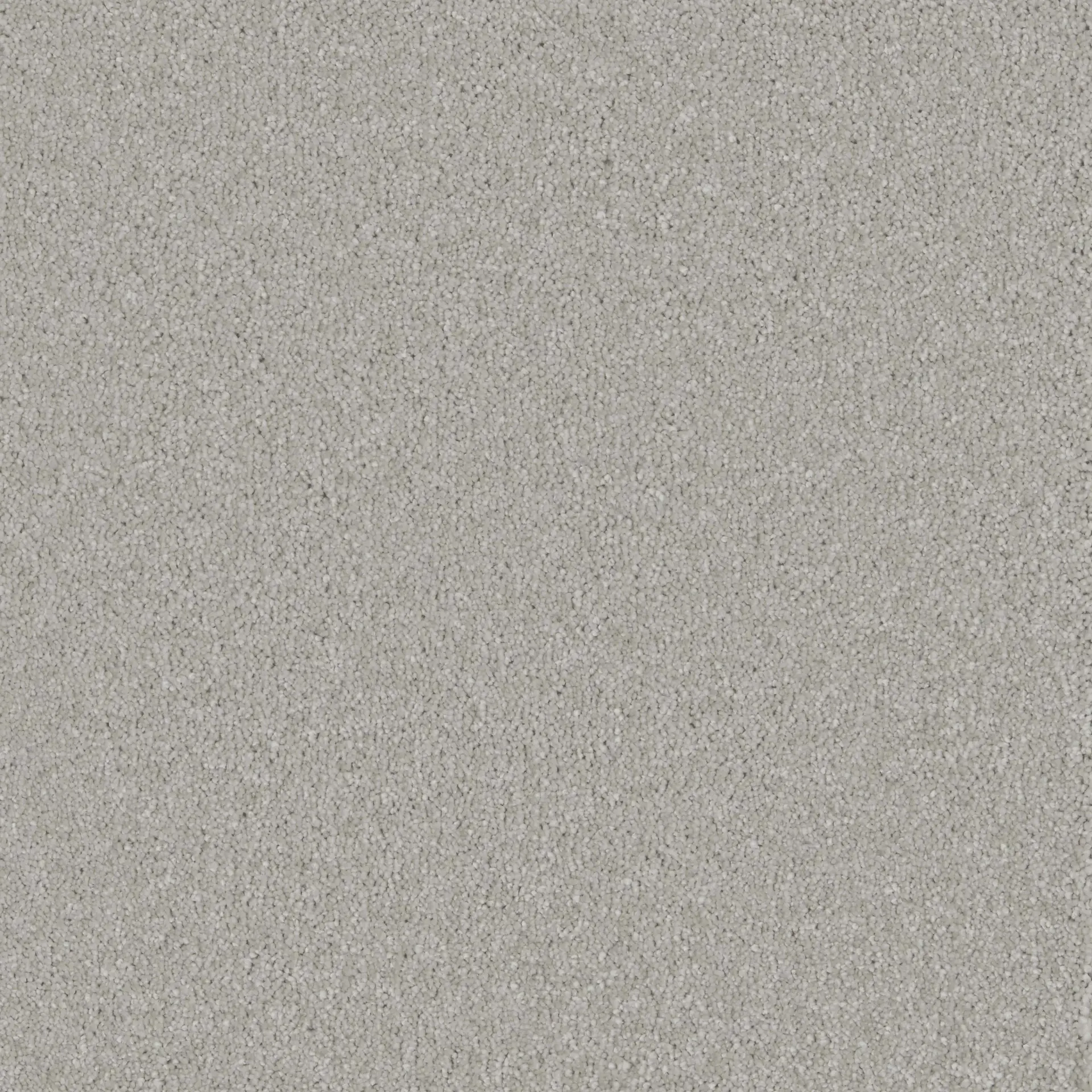 Silk shadow oslm webp