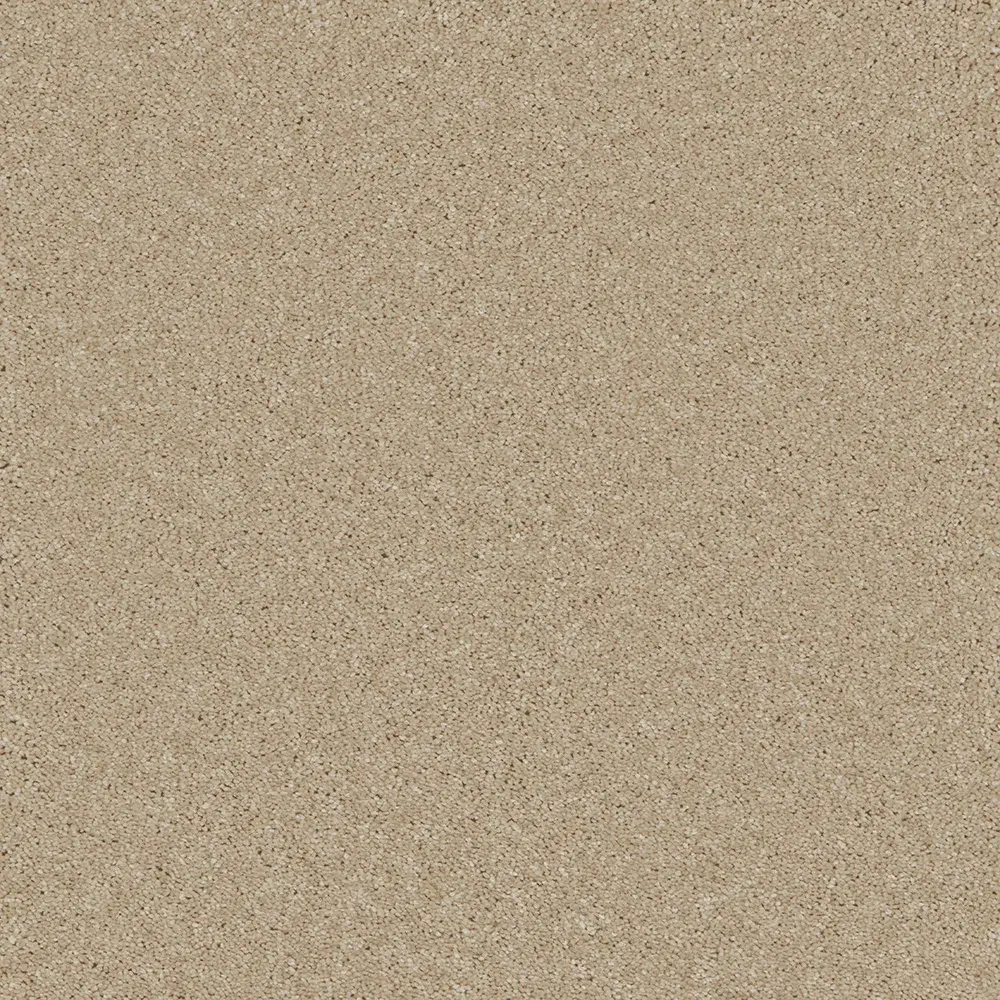 Bliss Coral Reef kvsb webp