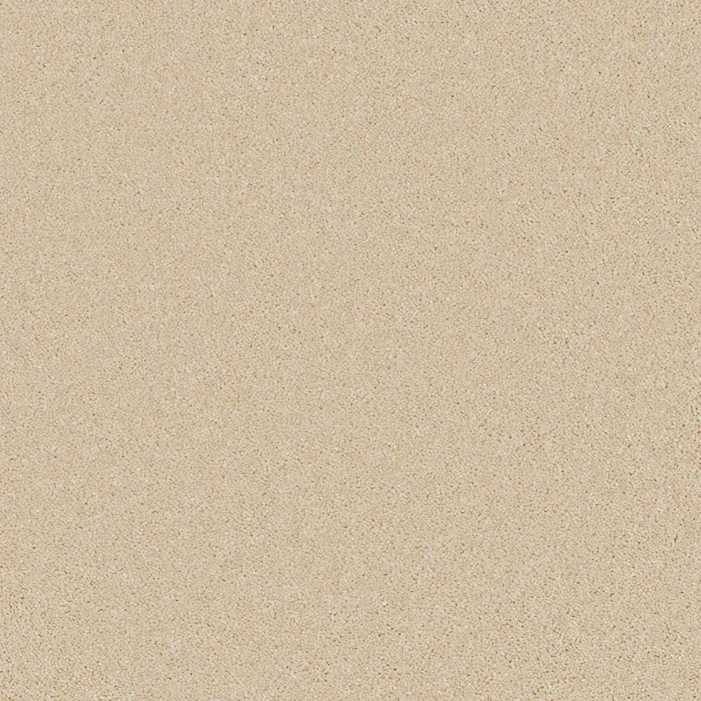 Bliss Oat Milk qcoh webp