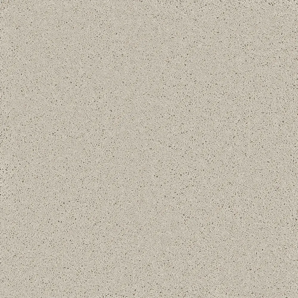 Bliss French Grey nxog webp