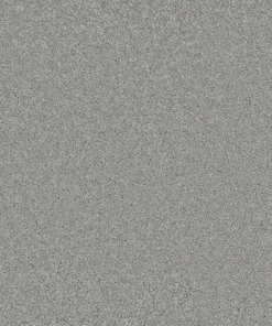 Bliss Skylight cxun webp