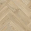 Bologna WEB webp