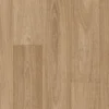 Corymbia SG WEB webp