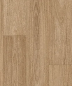 Corymbia SG WEB webp