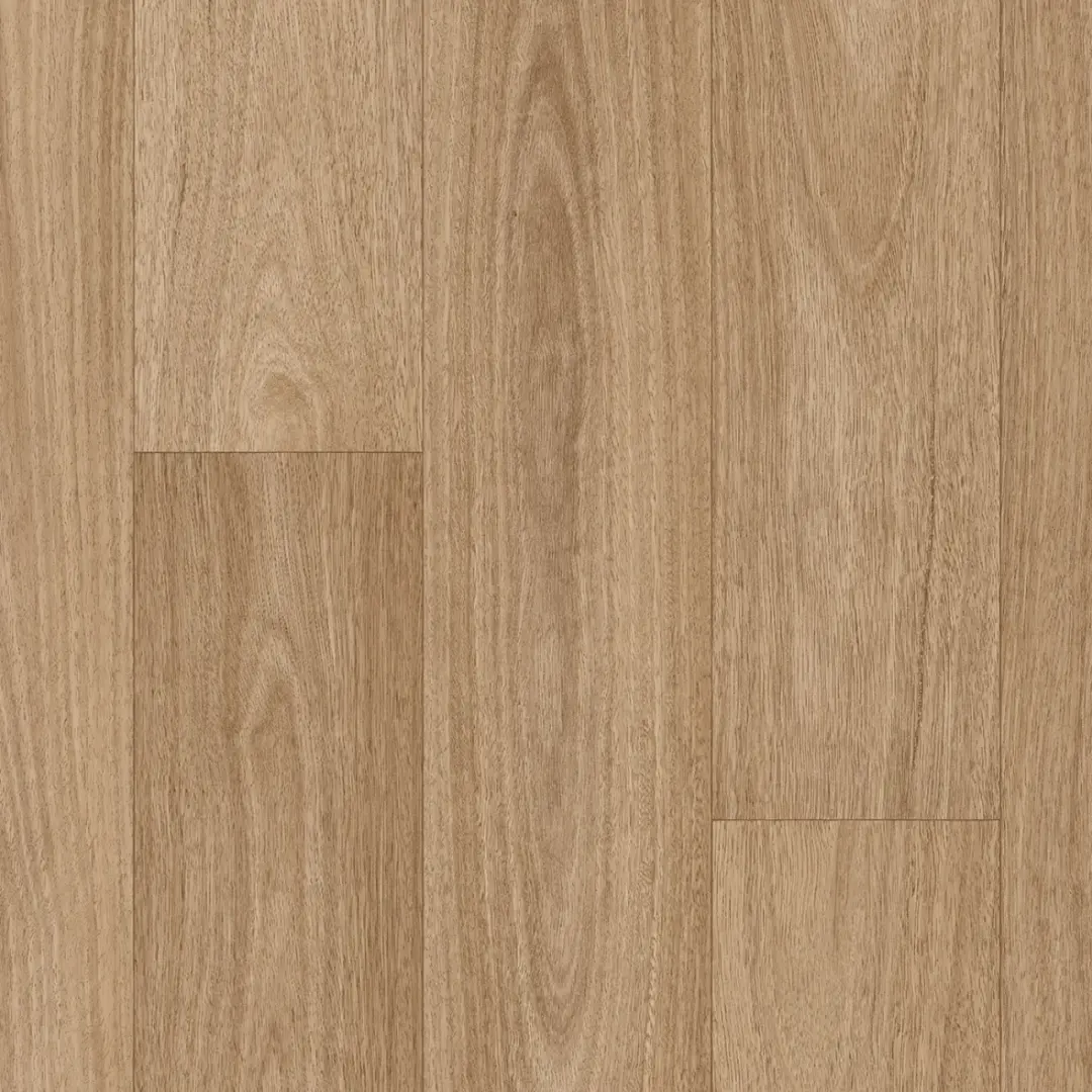 Corymbia SG WEB webp