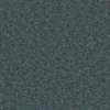 Enchantment Luxe Peacock wide webp