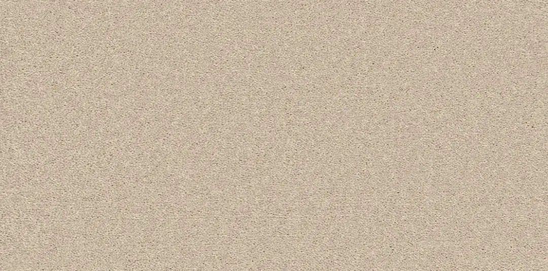 Enchantment Luxe Tortoise Shell wide webp
