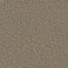 Essential Saxony Forest Taupe jtma webp
