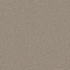 Essential Saxony Oyster Shell webp