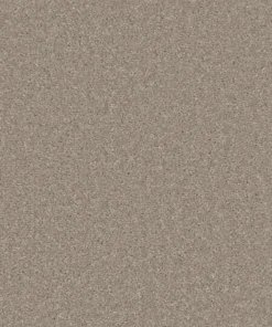 Essential Saxony Oyster Shell webp