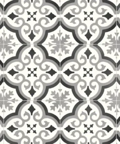 Modena WEB webp