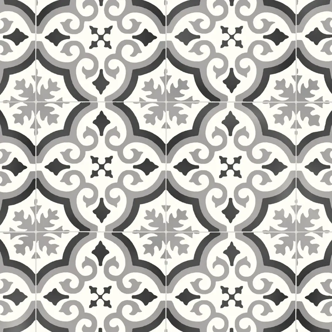 Modena WEB webp