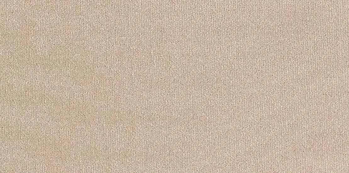 Trident Cicogha Wide webp