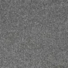 Trident Pandora Wide webp