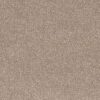 Trident Pebble Wide jpg