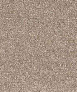 Trident Pebble Wide jpg