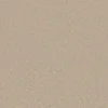 Trident Plains Coral Cove webp