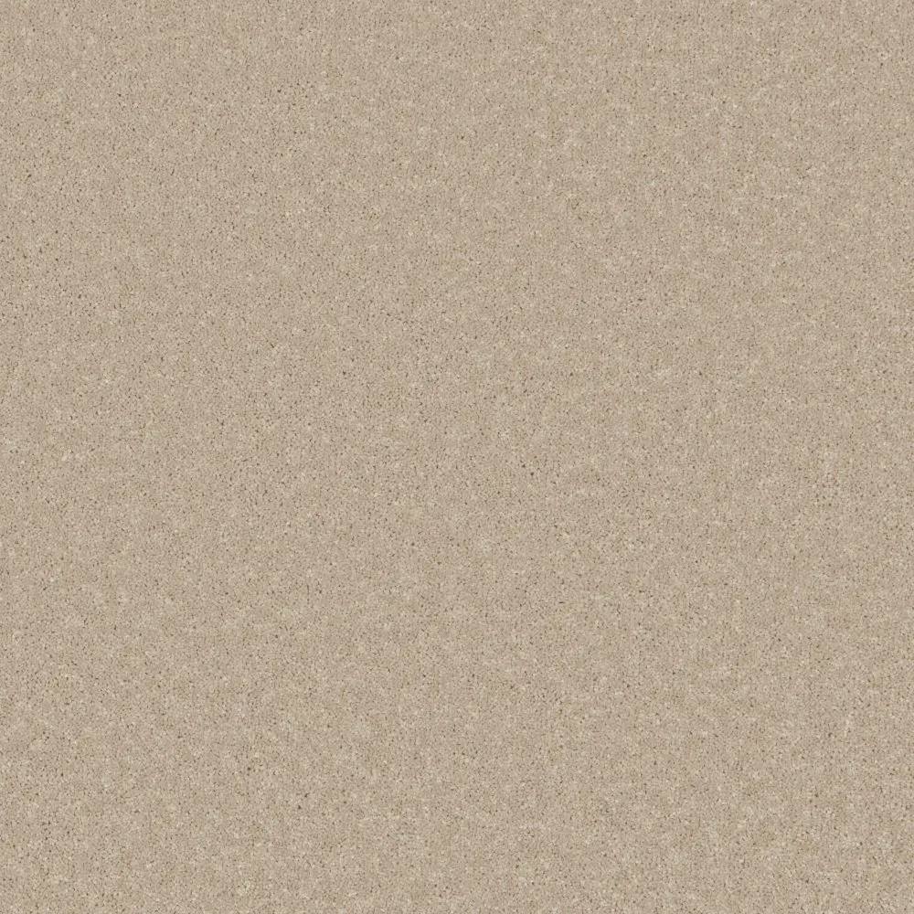 Trident Plains Coral Cove webp