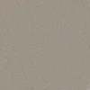 Trident Plains Taupe webp