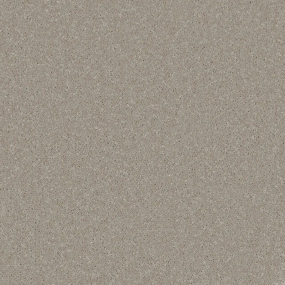 Trident Plains Taupe webp