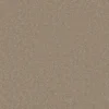 Trident Plains Amber Clay webp