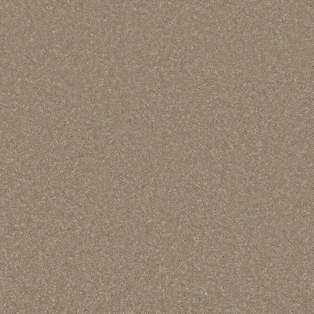 Trident Plains Amber Clay webp