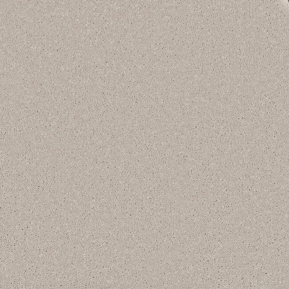 Trident Plains Driftwood Hue webp