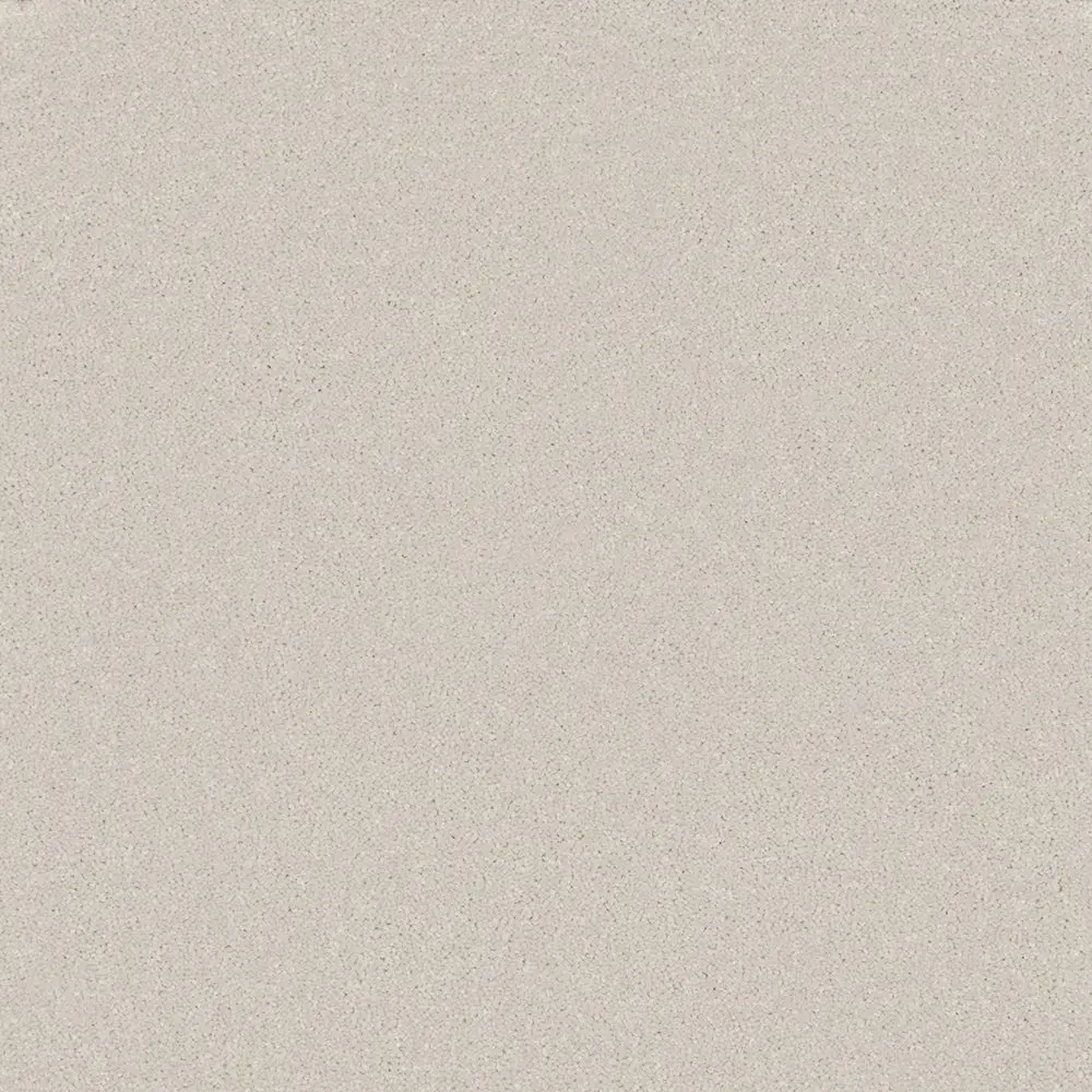 Trident Plains Silver Frost webp