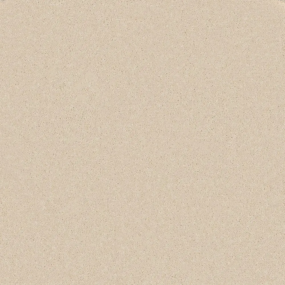 Trident Plains Oyster Shell webp