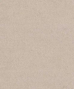 Trident Quicklime Wide webp