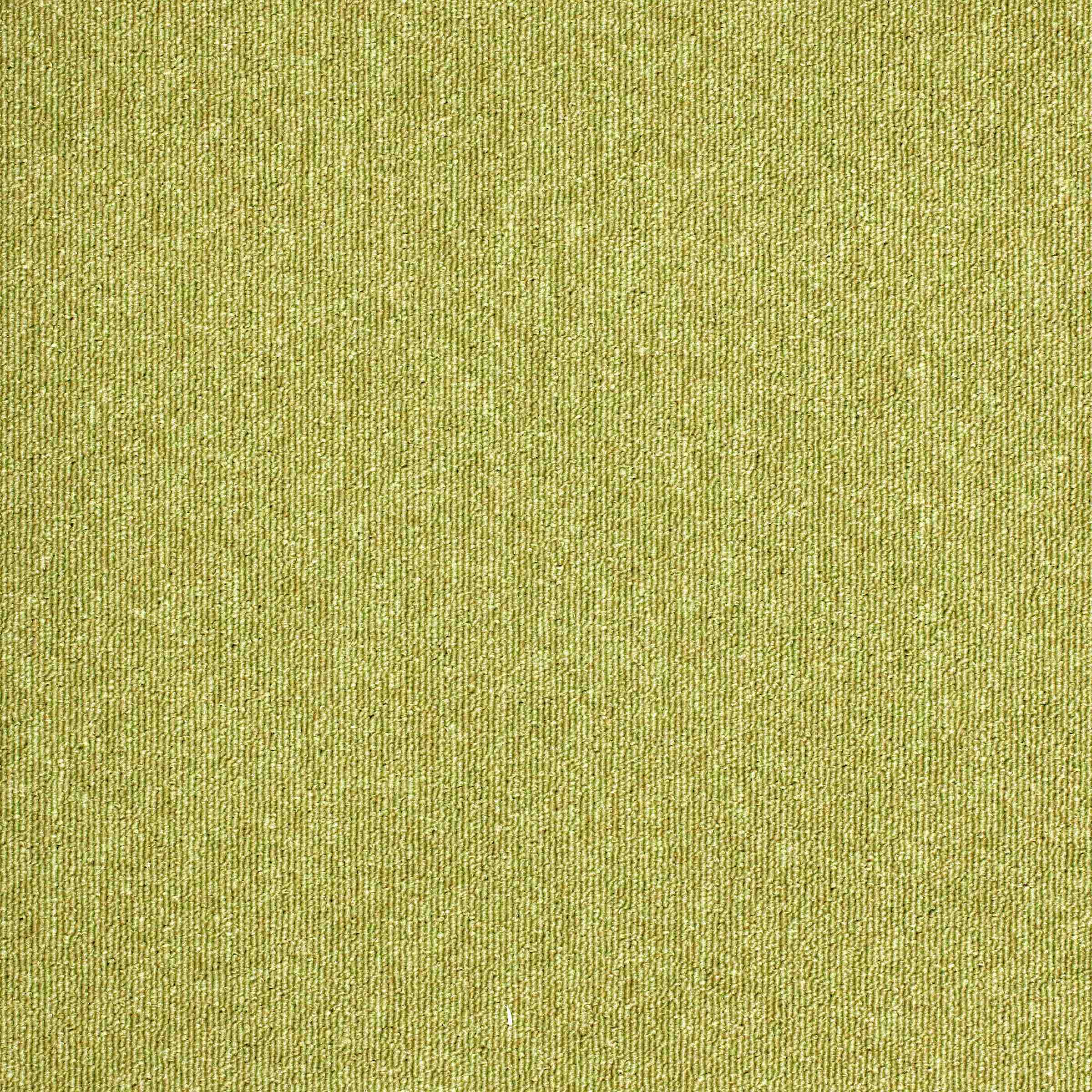 Sirocco Lime jpg